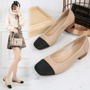 S42044a28ed584388bf41a26e030bddd9y